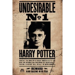 Plakát, Obraz - Harry Potter - Undersirable No.1, (61 x 91.5 cm)