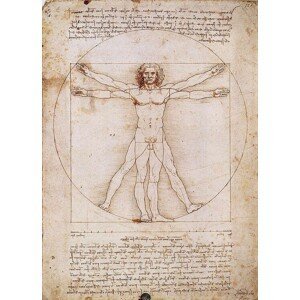 Umělecký tisk Vitruvius - Proporce lidské postavy, Leonardo Da Vinci, (50 x 70 cm)