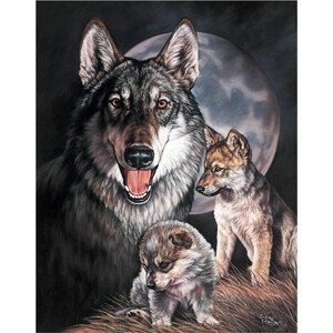 Plechová cedule GRAHAM - Wolf Experience, (31.5 x 40 cm)