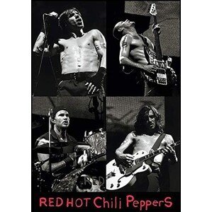 Plakát, Obraz - Red hot chili peppers Live, (61 x 91.5 cm)