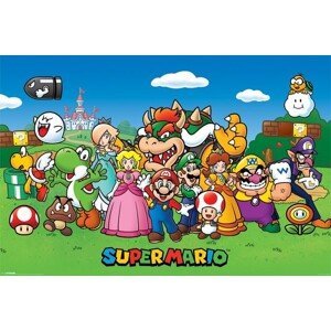 Plakát, Obraz - Super Mario - Characters, (91.5 x 61 cm)