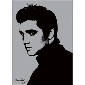 Umělecký tisk Elvis Presley - Metallic, (60 x 80 cm)
