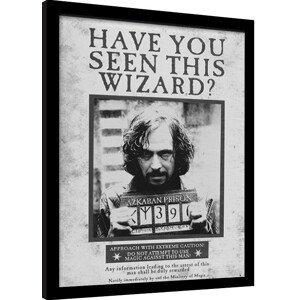 Obraz na zeď - Harry Potter - Sirius Wanted