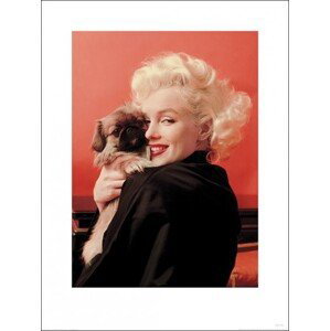 Umělecký tisk Marilyn Monroe - Love, (60 x 80 cm)