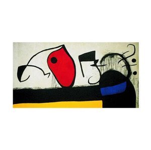 Umělecký tisk Žena se třemi vlasy v noci obklopená ptáky, 1972, Joan Miró, (80 x 60 cm)
