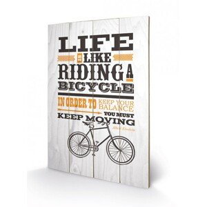 Dřevěný obraz Asintended - Riding A Bicycle, 40x59 cm