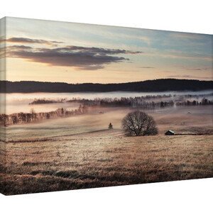 Obraz na plátně Andreas Stridsberg - Misty Morning, (80 x 60 cm)