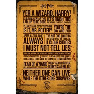 Plakát, Obraz - Harry Potter - Quotes, (61 x 91.5 cm)