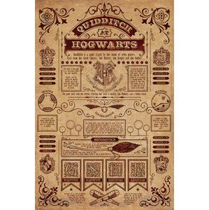 Plakát, Obraz - Harry Potter - Quidditch At Hogwarts, (61 x 91.5 cm)