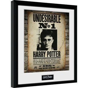 Obraz na zeď - Harry Potter - Undesirable No 1