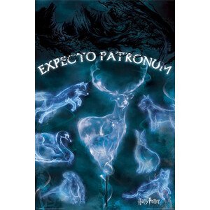 Plakát, Obraz - Harry Potter - Patronus, (61 x 91.5 cm)
