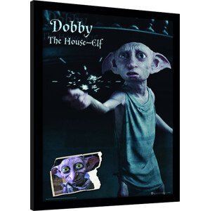 Obraz na zeď - Harry Potter - Dobby