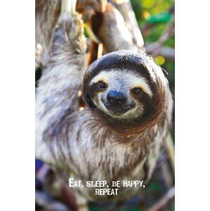 Plakát, Obraz - Smile - Sloth, (61 x 91.5 cm)