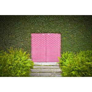 Umělecká fotografie Pink Brick Door, David Jordan Williams, (40 x 26.7 cm)