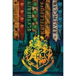 Plakát, Obraz - Harry Potter - House Flags, (61 x 91.5 cm)