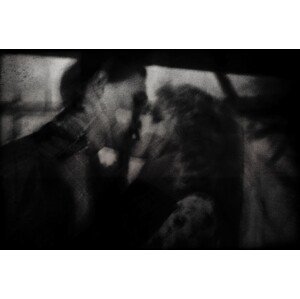 Umělecká fotografie Shadows ( the kiss ), Dalibor	Davidovic, (40 x 26.7 cm)