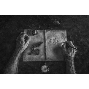 Umělecká fotografie Final chapter, Stephen	Clough, (40 x 26.7 cm)