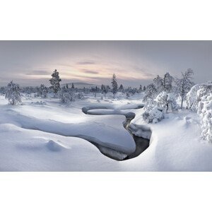 Umělecká fotografie Lapland, Christian	Schweiger, (40 x 24.6 cm)