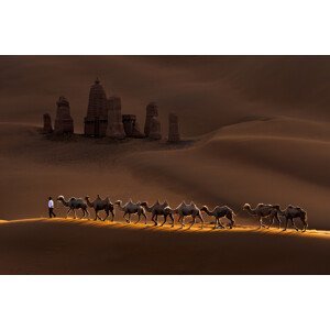 Umělecká fotografie Castle and Camels, Mei	Xu, (40 x 26.7 cm)