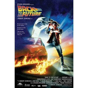 Plakát, Obraz - Back To The Future, (61 x 91.5 cm)