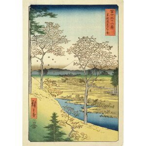 Ando or Utagawa Hiroshige - Obrazová reprodukce Fuji, (26.7 x 40 cm)