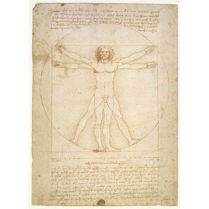 Leonardo da Vinci - Obrazová reprodukce The Proportions of the human figure , c.1492, (30 x 40 cm)