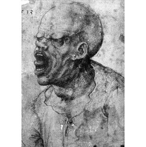 Leonardo da Vinci - Obrazová reprodukce Portrait of a Man Shouting (charcoal on paper), (26.7 x 40 cm)