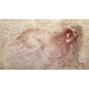 Leonardo da Vinci - Obrazová reprodukce Sketch of a roaring lion, (40 x 22.5 cm)