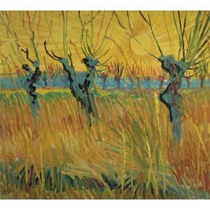 Vincent van Gogh - Obrazová reprodukce Pollarded Willows and Setting Sun, 1888, (40 x 35 cm)