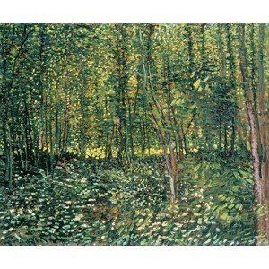 Vincent van Gogh - Obrazová reprodukce Trees and Undergrowth, 1887, (40 x 35 cm)