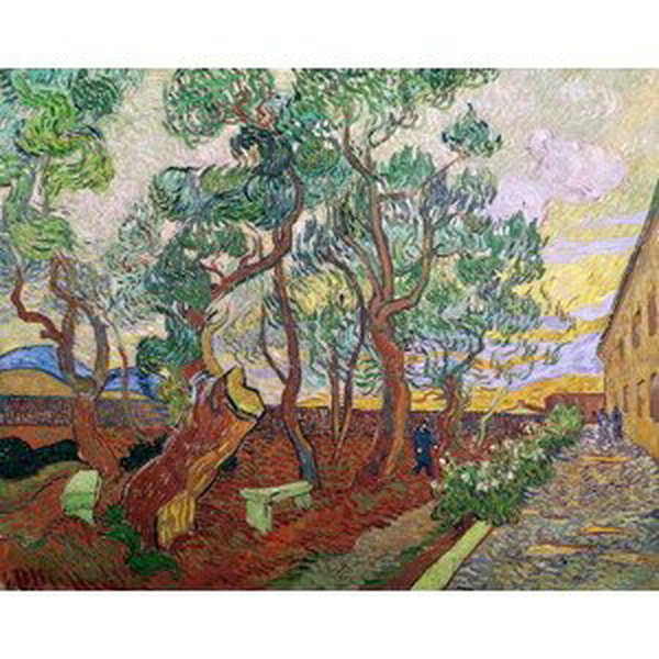 Vincent van Gogh - Obrazová reprodukce The Garden of St. Paul's Hospital at St. Remy, (40 x 30 cm)