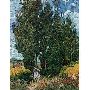 Vincent van Gogh - Obrazová reprodukce The cypresses, c.1889-90, (30 x 40 cm)