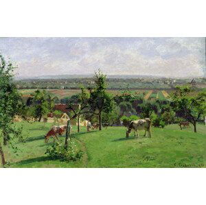 Camille Pissarro - Obrazová reprodukce Hillside of Vesinet, Yvelines, 1871, (40 x 24.6 cm)