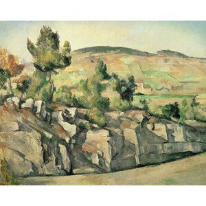 Paul Cezanne - Obrazová reprodukce Hillside in Provence, c.1886-90, (40 x 30 cm)
