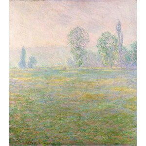 Claude Monet - Obrazová reprodukce Meadows in Giverny, 1888, (35 x 40 cm)