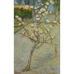 Vincent van Gogh - Obrazová reprodukce Small pear tree in blossom, 1888, (24.6 x 40 cm)