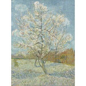 Vincent van Gogh - Obrazová reprodukce The Pink Peach Tree, 1888, (30 x 40 cm)