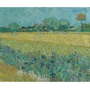 Vincent van Gogh - Obrazová reprodukce Field with Flowers near Arles, 1888, (40 x 35 cm)