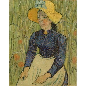 Vincent van Gogh - Obrazová reprodukce Peasant Girl in Straw Hat, 1890, (30 x 40 cm)