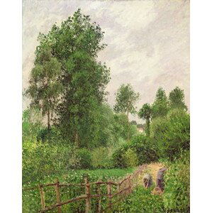 Camille Pissarro - Obrazová reprodukce Paysage, temps gris a Eragny, 1899, (30 x 40 cm)