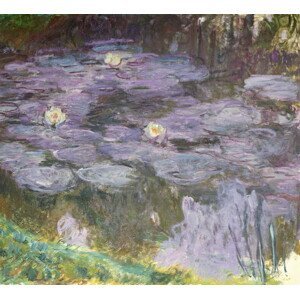 Claude Monet - Obrazová reprodukce Waterlilies, 1917, (40 x 35 cm)