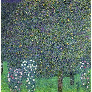Gustav Klimt - Obrazová reprodukce Roses under the Trees, c.1905, (40 x 40 cm)