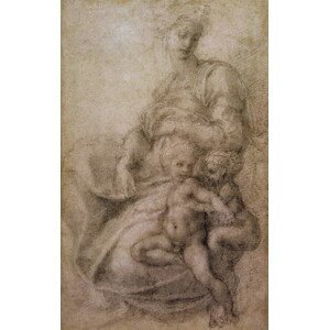 Michelangelo Buonarroti - Obrazová reprodukce The Virgin and Child with the infant Baptist, (24.6 x 40 cm)