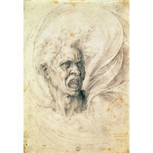 Michelangelo Buonarroti - Obrazová reprodukce Study of a man shouting, (26.7 x 40 cm)