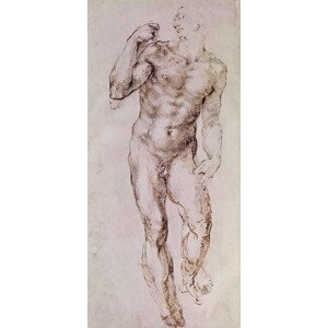 Michelangelo Buonarroti - Obrazová reprodukce Sketch of David with his Sling, 1503-4, (23.3 x 50 cm)