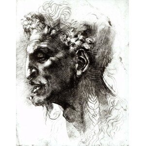 Michelangelo Buonarroti - Obrazová reprodukce Head of a Satyr (pen & ink on paper), (30 x 40 cm)