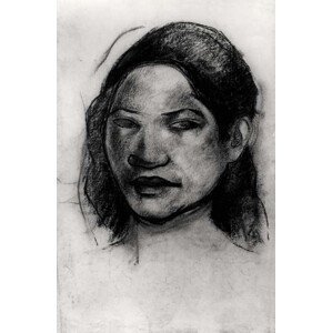 Paul Gauguin - Obrazová reprodukce Head of a Tahitian (charcoal on paper), (26.7 x 40 cm)
