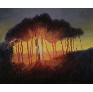 Antonia Myatt - Obrazová reprodukce Wild Trees at Sunset, 2002, (40 x 35 cm)