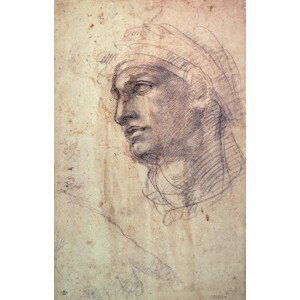 Michelangelo Buonarroti - Obrazová reprodukce Study of a Head, (26.7 x 40 cm)
