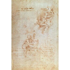 Michelangelo Buonarroti - Obrazová reprodukce Studies of Madonna and Child, (26.7 x 40 cm)